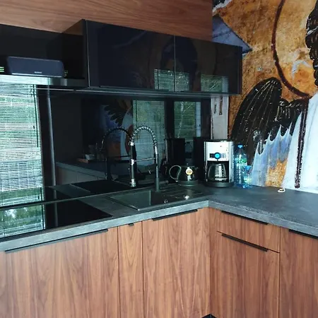 Luna Francuska Park Apartament Katowice